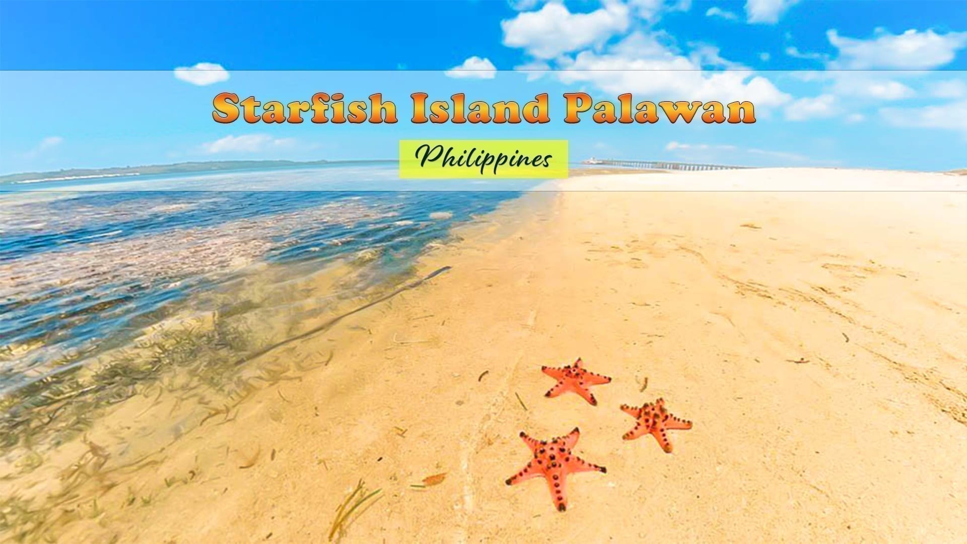 Starfish Island palawan
