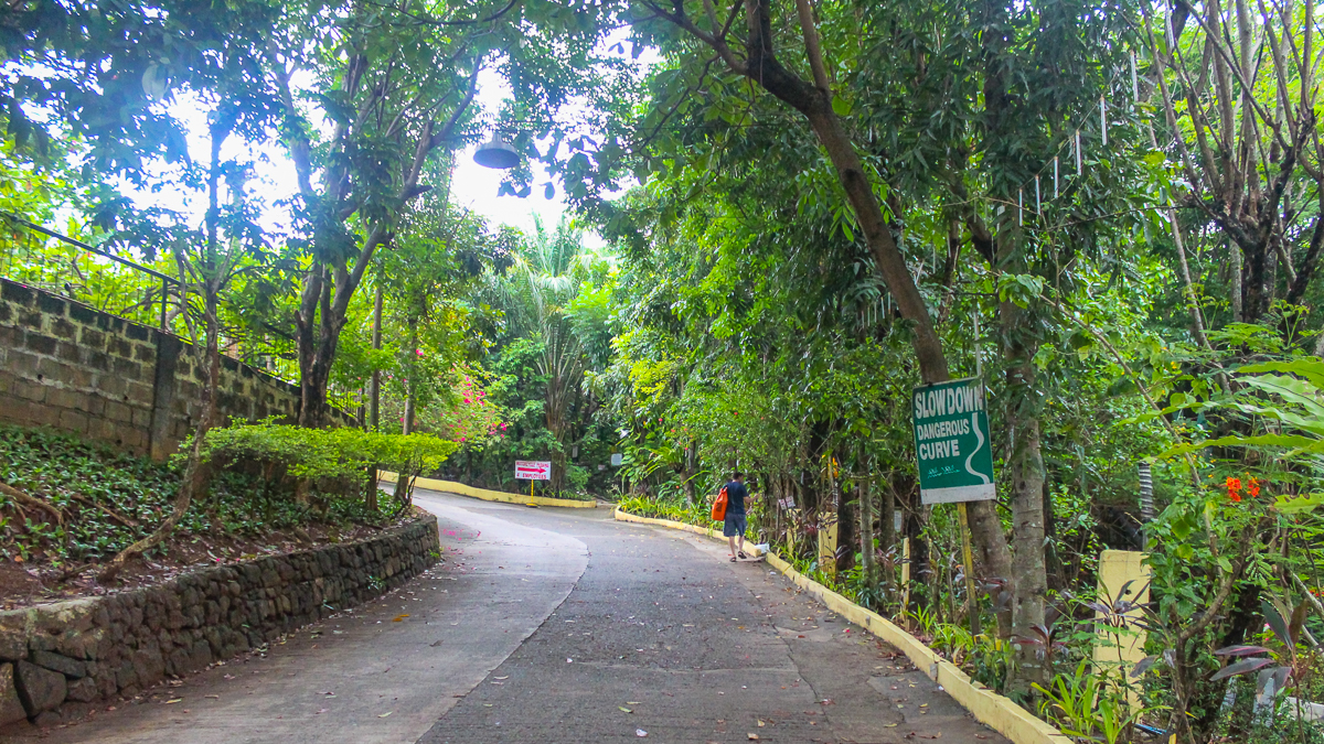 Tree-lined walkway leading to the Cloud 9 Antipolo restaurant and view deck surrounded by tropical gardens in Rizal