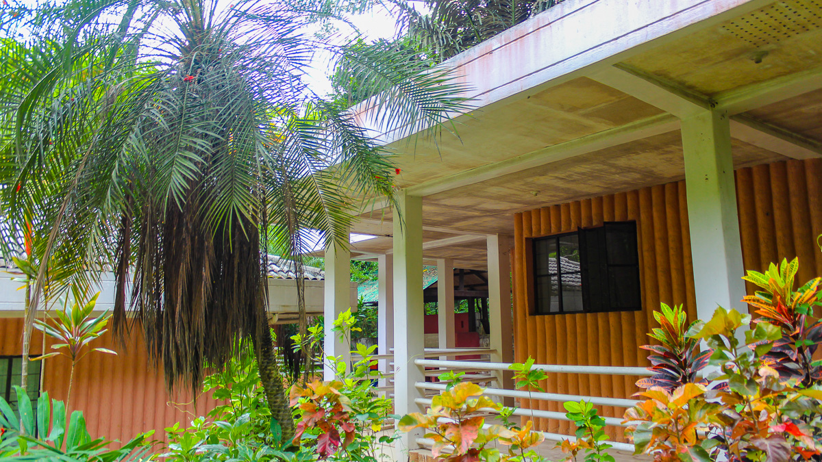 Guest house at Hinulugang Taktak Falls park, surrounded by tropical plants