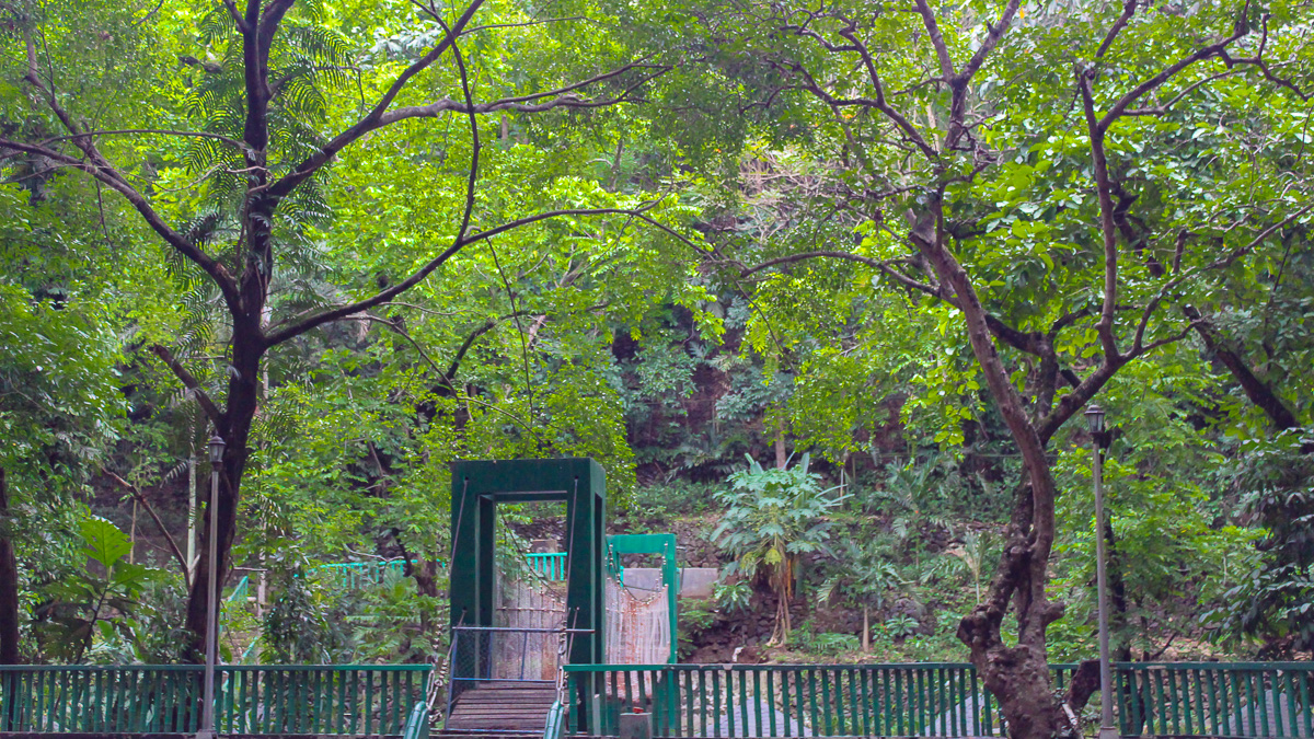 Hanging bridge surrounded by dense greenery at Hinulugang Taktak Falls in Antipolo