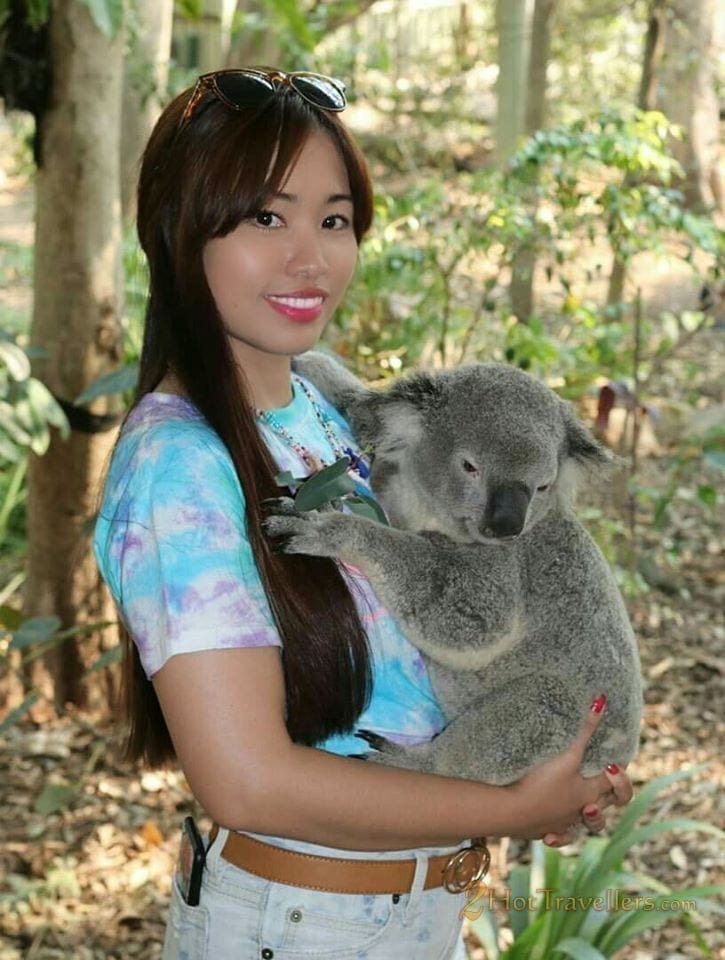 carrying koala at lone pine