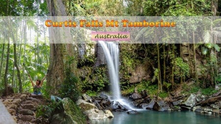 Travel Blog Australia - The Travel Guide To Australia Curtis falls Mt Tamborine