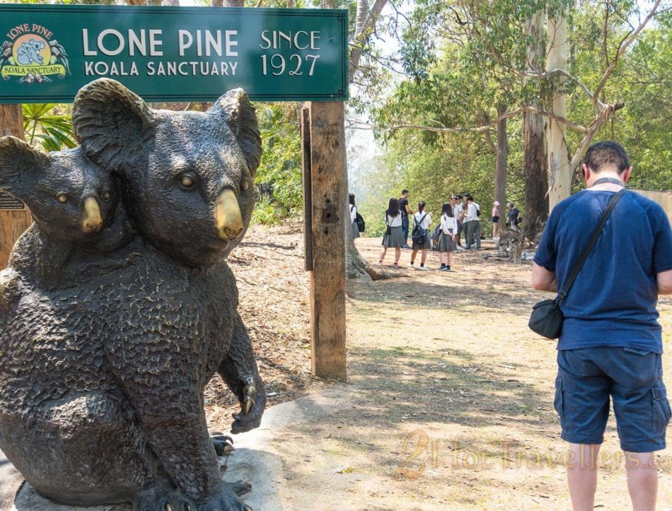 Lone Pine Koala Sanctuary: Wildlife experience Lone Pine Koala Sanctuary
