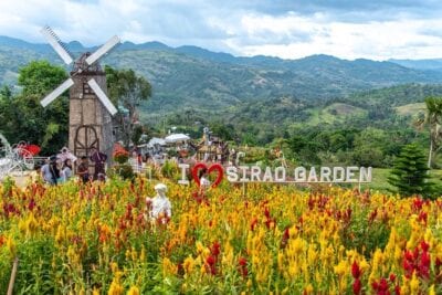 Philippines tourist spot - Sirao Flower Farm, Cebu 1