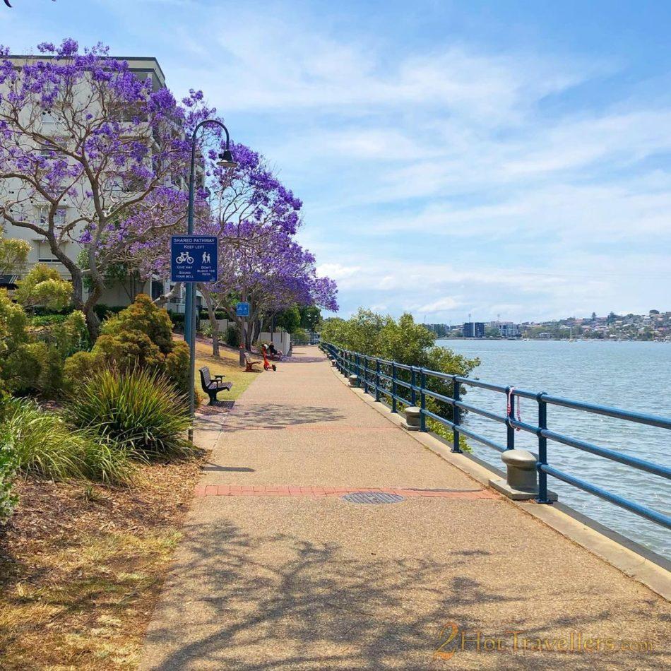 Brisbane Scenic Trails -Teneriffe Riverwalk