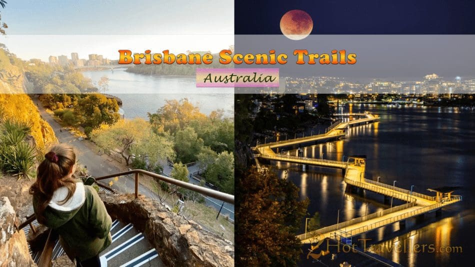 10 Brisbane Scenic Walks: Explore the trails Brisbane Scenic Walks
