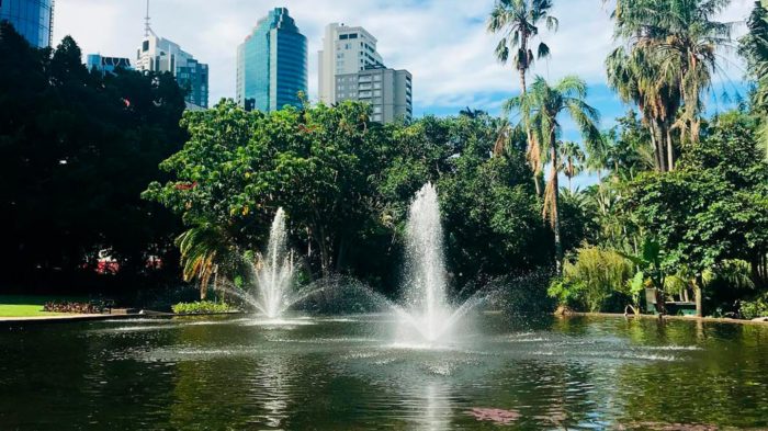Ten of the Best Picnic Spots in Brisbane