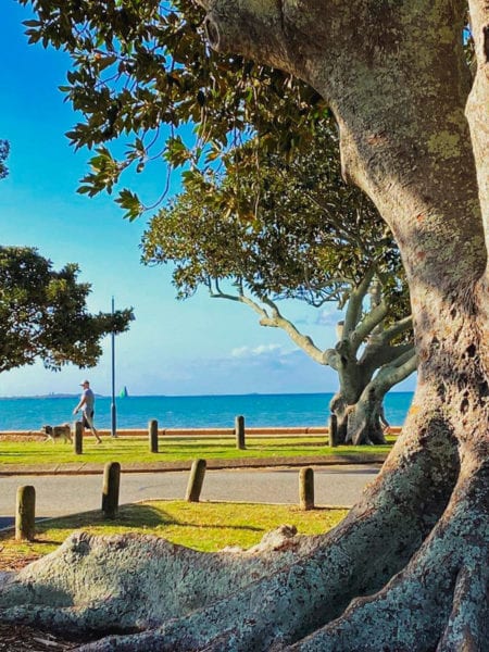 Wellington Point beach Best Picnic Spots in Brisbane