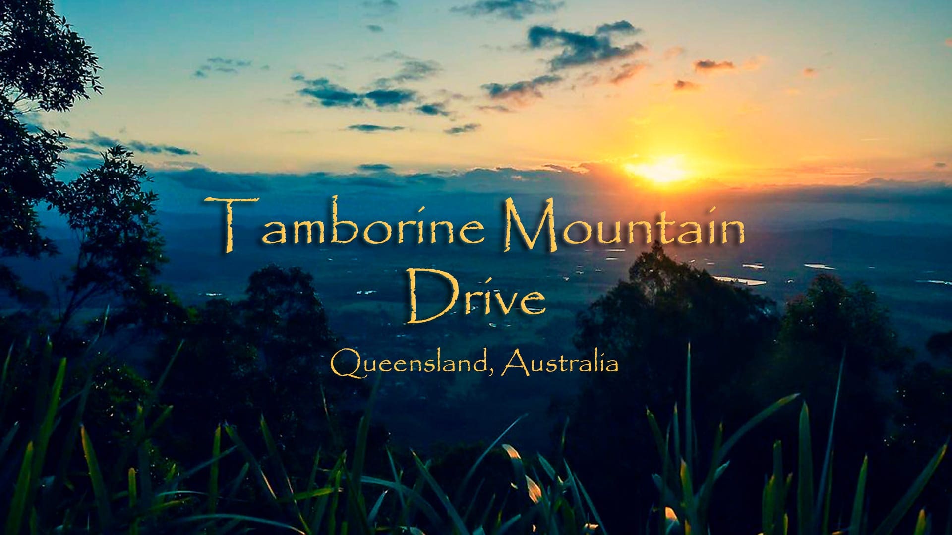 Mt Tamborine drive, Queensland Australia 2HotTravellers Travel Blog