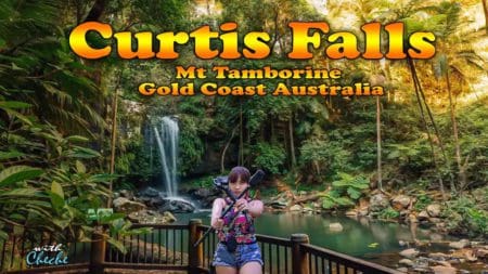 curtis falls