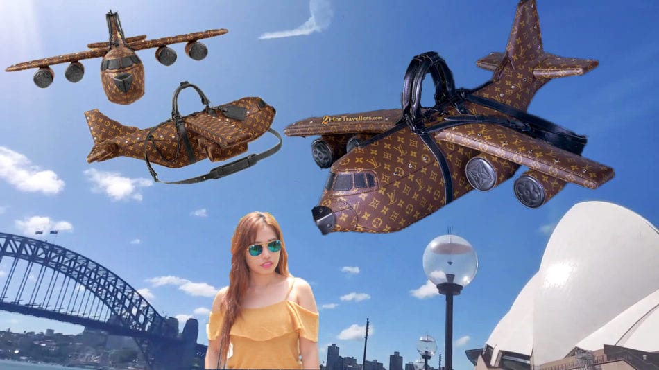 Twitter Takes Off With Jokes As LV's Latest Airplane-Shaped Bag Costs More  Than An Actual Aircraft