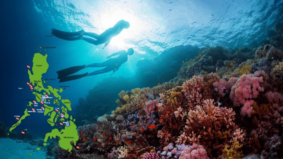 News Philippines Diving Spot
