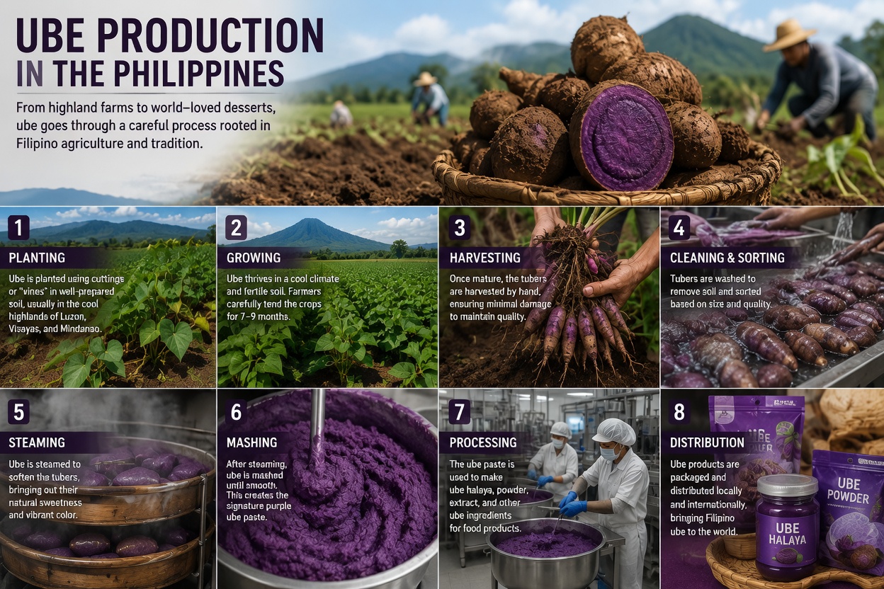 Why Ube Is Silently Taking Over Global Menus (How a Filipino Ingredient Quietly Took Over Menus)